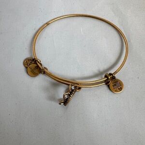 Alex and Ani Gold Charm Bracelet